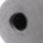 Carb Sock Foam Air Filters Caged 1x 84mm - Medium